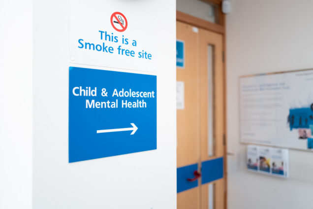 Support for Young People’s Mental Health