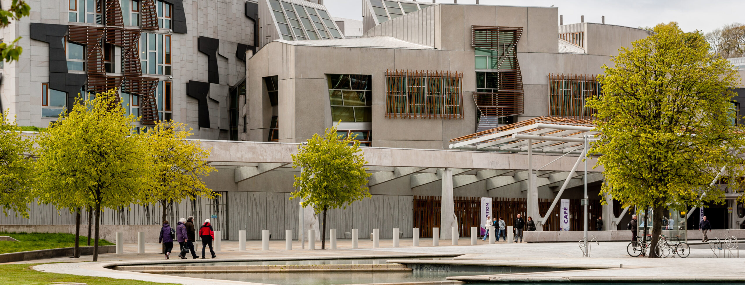 Our MSPs